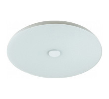 Накладной светильник Sonex Roki Muzcolor 4629/CL