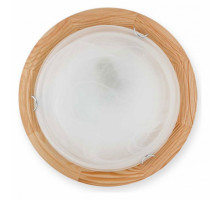 Накладной светильник TopLight Irma TL9073Y-02PN