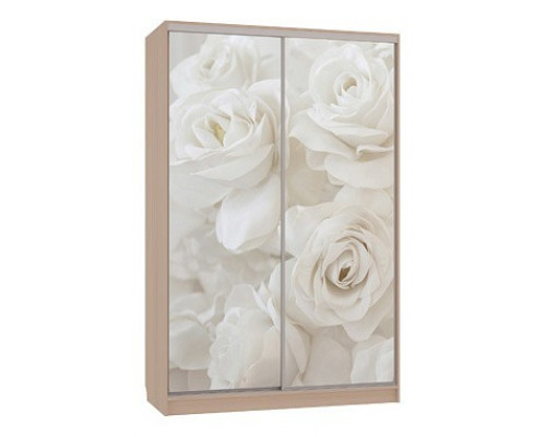 Шкаф-купе Гранд 7-600 розы