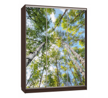 Шкаф-купе Бассо 7-600 57