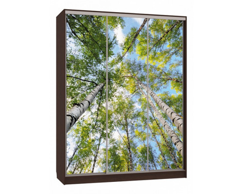 Шкаф-купе Бассо 7-600 57