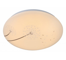 Накладной светильник Globo Illya 41592