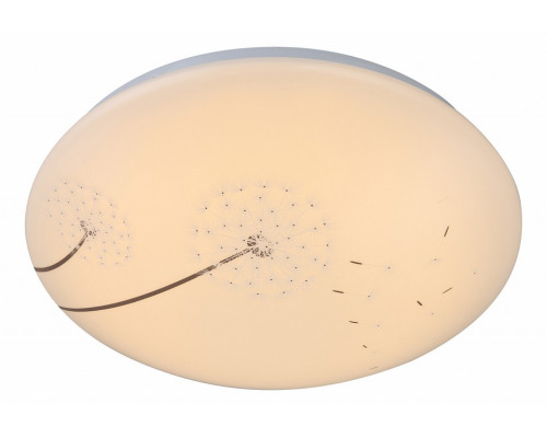 Накладной светильник Globo Illya 41592