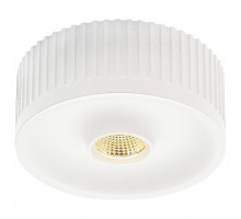 Накладной светильник SLV Occuildas 117381