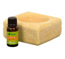 Набор из запарки для бани и соляного испарителя (10x10x5 см) Эвкалипт 32483