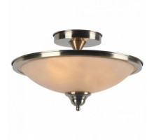 Светильник на штанге Arte Lamp Safari A6905PL-2AB