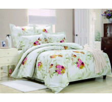 Постельное белье евростандарт C-224