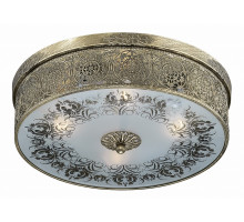 Накладной светильник Odeon Light Aster 2782/4C