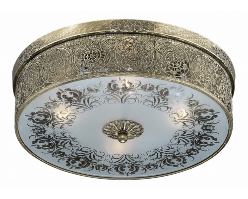 Накладной светильник Odeon Light Aster 2782/4C