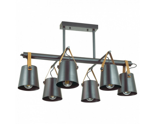 Люстра на штанге Lumion Tristen 3641/6C