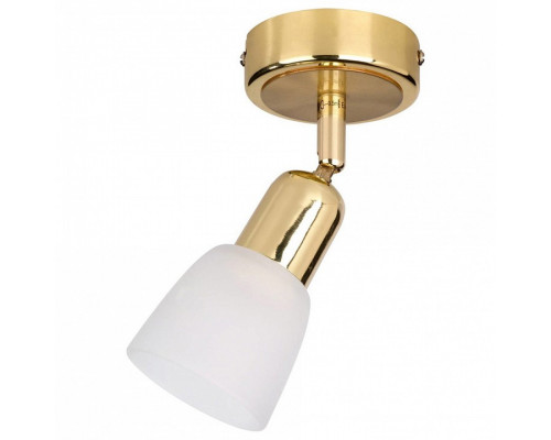 Спот Escada Debora 5039/1PA