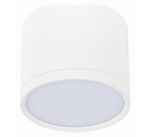 Накладной светильник ST-Luce Rene 