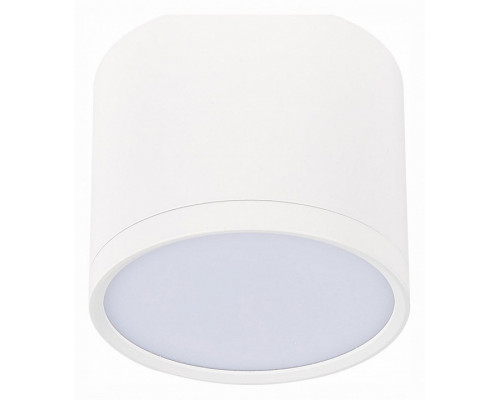 Накладной светильник ST-Luce Rene