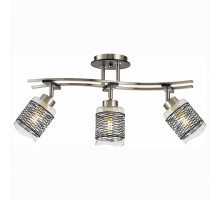 Спот Citilux Мерида 