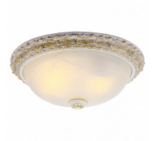 Накладной светильник Arte Lamp Torta A7122PL-2WG