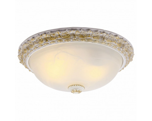 Накладной светильник Arte Lamp Torta A7122PL-2WG