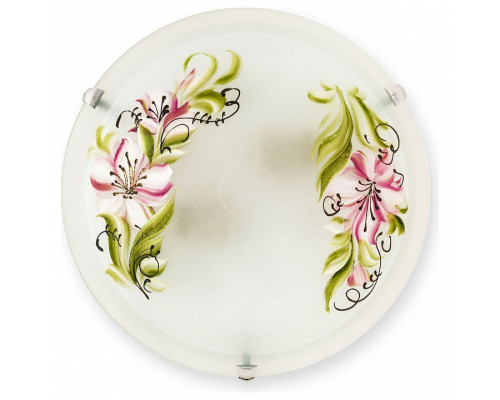 Накладной светильник TopLight Zulad TL9391Y-02WH