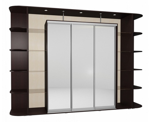 Шкаф-купе Мебелайн-25