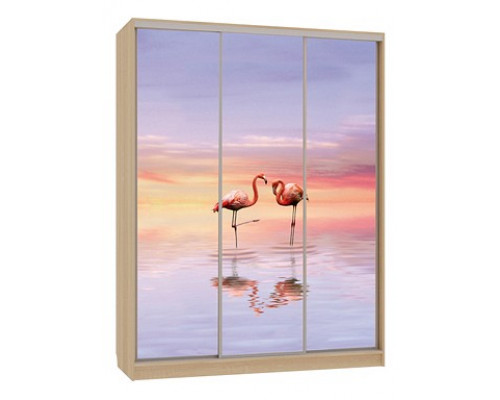 Шкаф-купе Бассо 7-600 19