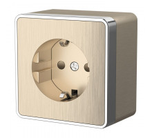 Розетка с заземлением и шторками Werkel  WL15-02-02 (шампань рифленый)
