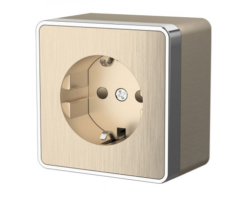 Розетка с заземлением и шторками Werkel  WL15-02-02 (шампань рифленый)