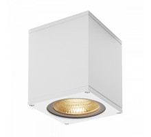 Накладной светильник SLV Big Theo 234521