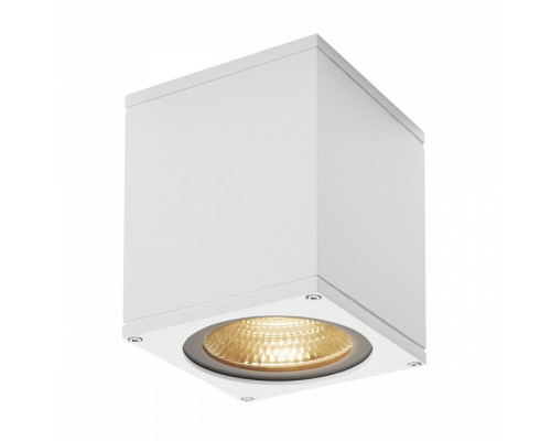 Накладной светильник SLV Big Theo 234521