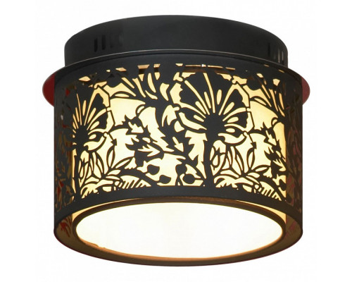 Накладной светильник Lussole Vetere