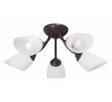 Потолочная люстра Vitaluce V3184 V3404/5PL