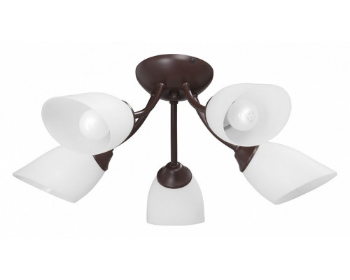 Потолочная люстра Vitaluce V3184 V3404/5PL