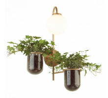 Бра Odeon Light Flower 4682/1W