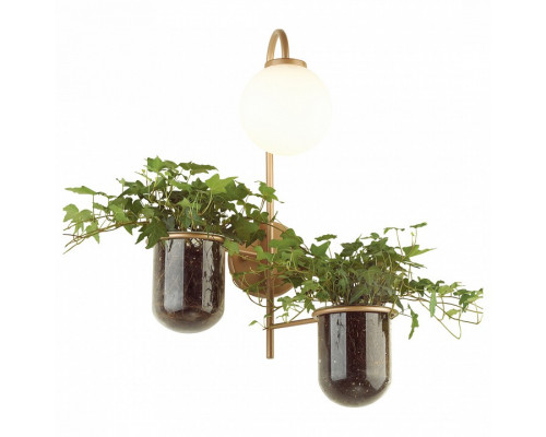 Бра Odeon Light Flower 4682/1W