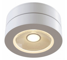 Накладной светильник Maytoni Alivar C022CL-L12W