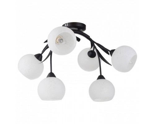 Потолочная люстра Lussole Bagheria