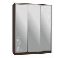 Шкаф-купе Бассо 4-600 токио