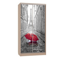 Шкаф-купе Рио 7-600 08