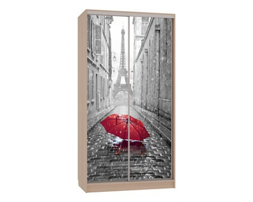 Шкаф-купе Рио 7-600 08