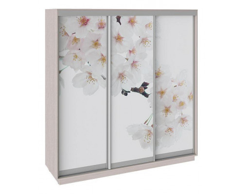 Шкаф-купе Румер СШК 1.210.70-35