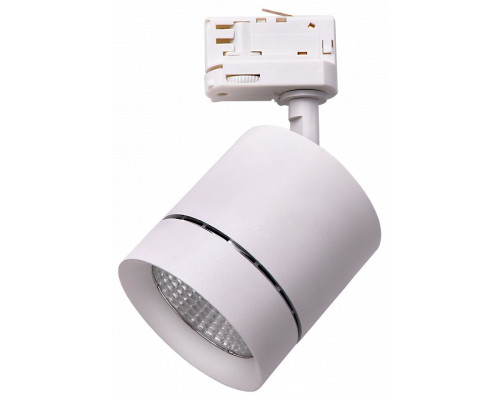 Светильник на штанге Lightstar Canno 301562