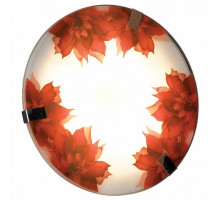 Накладной светильник Lussole Cascano 