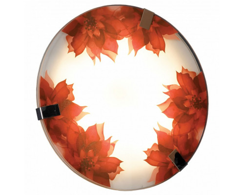 Накладной светильник Lussole Cascano