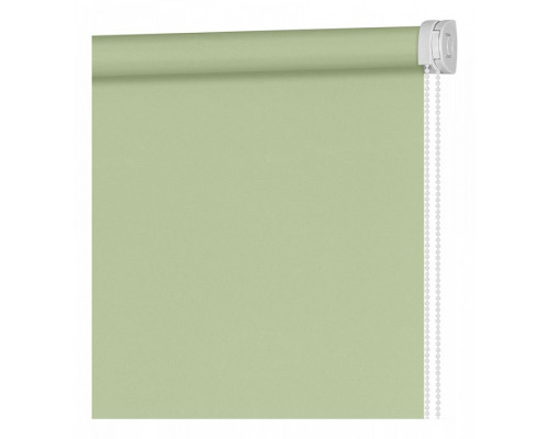 Штора рулонная (100x160 см) Плайн Весенний Зеленый