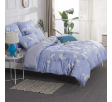 Постельное белье евростандарт Касабланка