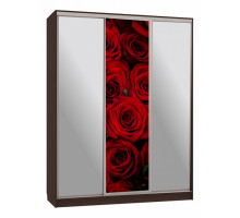 Шкаф-купе Бассо 9-600 89