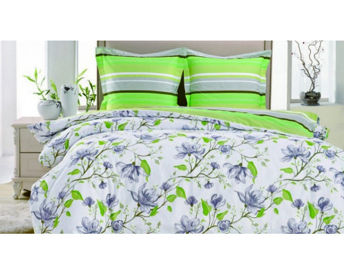 Постельное белье евростандарт CL-229