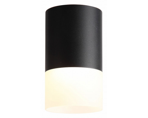 Накладной светильник ST-Luce Ottu