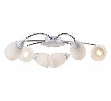 Потолочная люстра Favourite Blanca 1042-6U