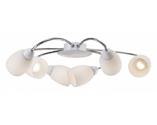 Потолочная люстра Favourite Blanca 1042-6U