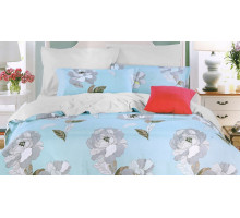 Постельное белье евростандарт Romilda