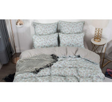 Постельное белье евростандарт Валентина